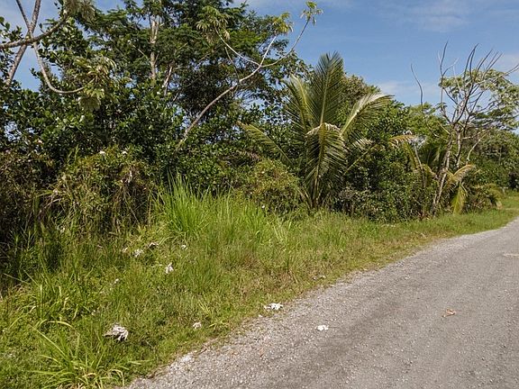 2nd image of 7th Avenue Hinahina Lot 1117