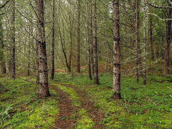 5th image of Upper Cow Creek Rd
