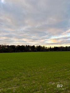 0 Ward Rd, Frisco City, AL, 36445