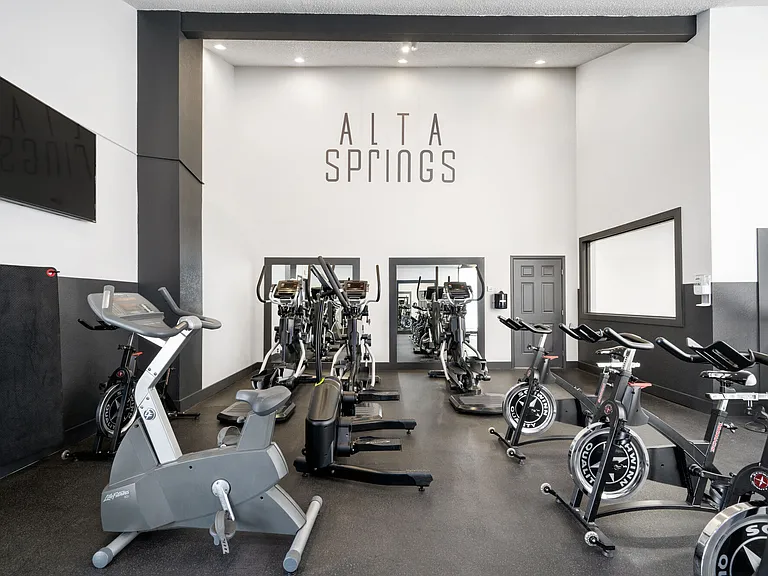 Alta Springs — Photo 38