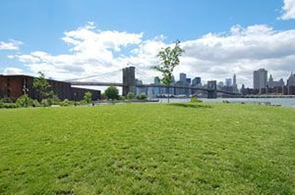 Sold by Douglas Elliman | media 1