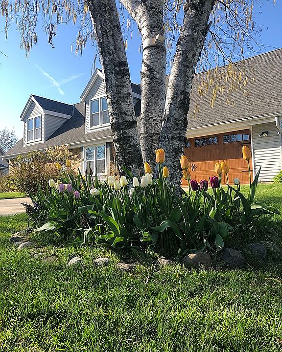 1st image of 8046 W Imperial Dr