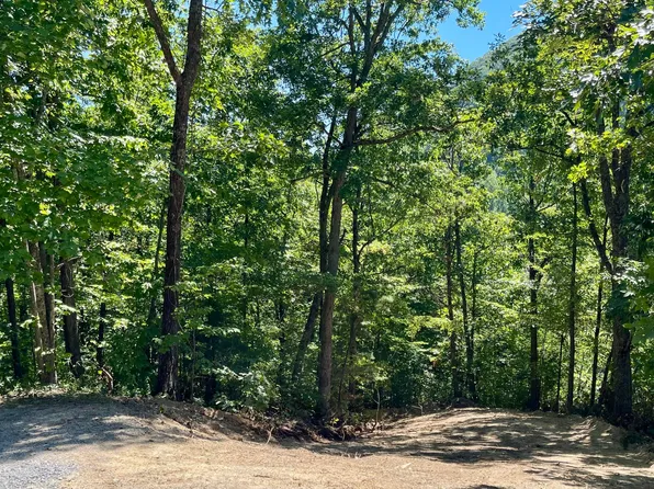 23 & 24 Red Maple Ln, Sevierville, TN 37876