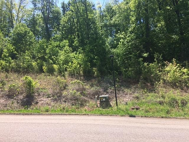 2nd image of 1814 Community Dr