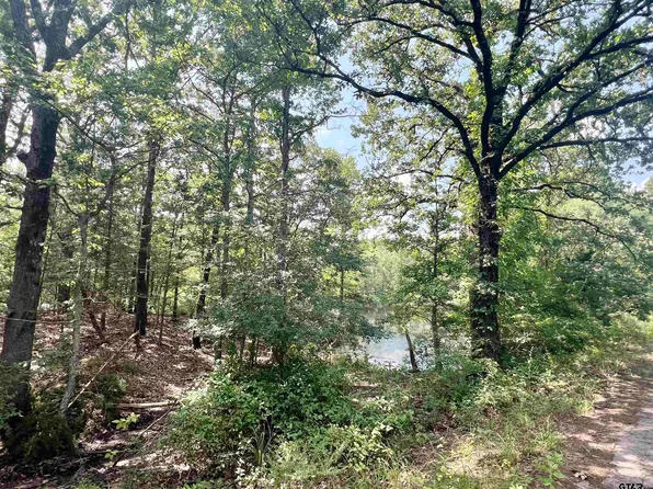 County Road 1664, Mount Pleasant, TX 75455