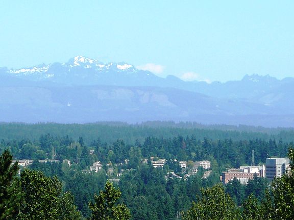 2nd image of 12624 88th Pl NE