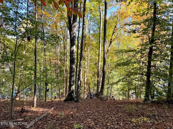159 Pineridge Loop, Crossville, TN 38558