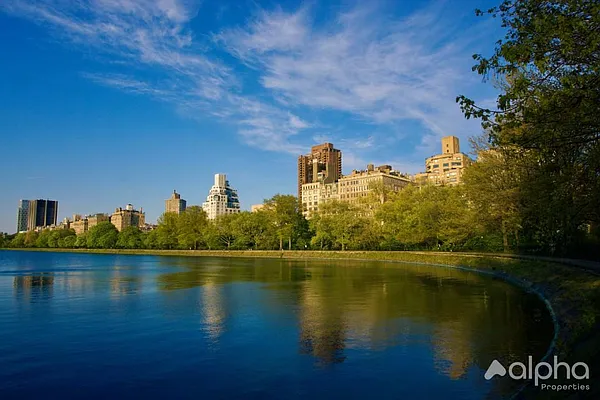 Rented by Alpha Properties NYC I LLC | media 10