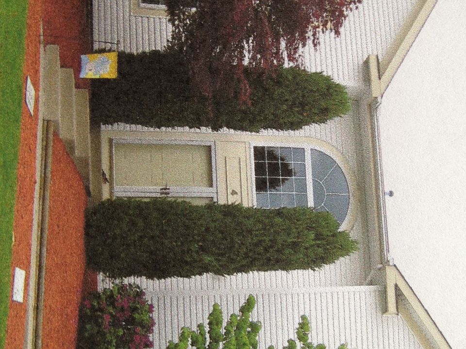 professional landscaping