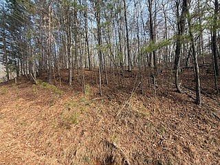 3rd image of 2119 Newport Dr