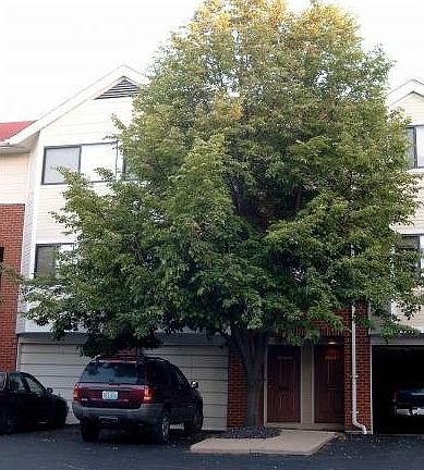 2nd image of 6612-6644 Oakland Ave #17