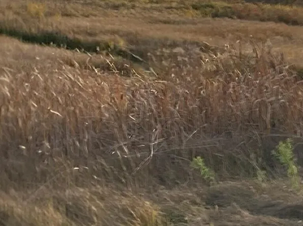 0 W M48, Pickford, MI 49774