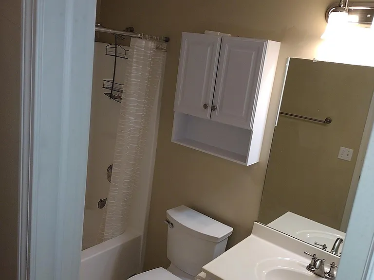 Hallway bathroom- New elongated champion-4 toilet