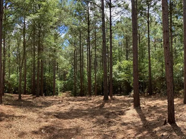 1360 County Road 403, San Augustine, TX 75972