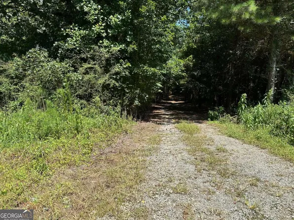 305 Wildcat Rd, Buchanan, GA 30113