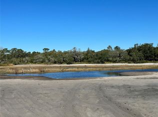 Fisher Loop LOT 28, Ocklawaha, FL 32179