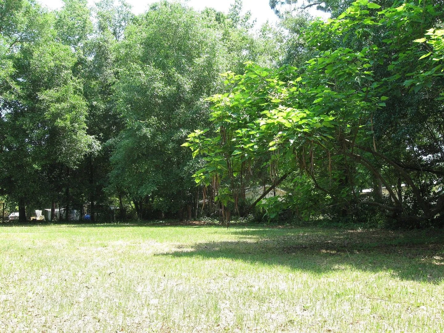 3 bedroom 1 bath house available September 1, 2026!! — Photo 1