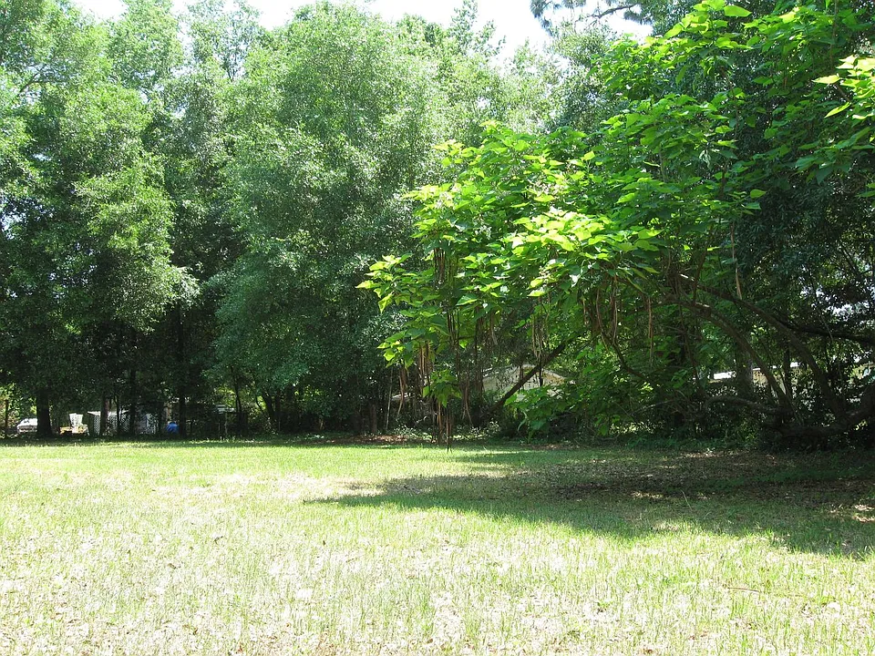 823 Greenleaf Dr