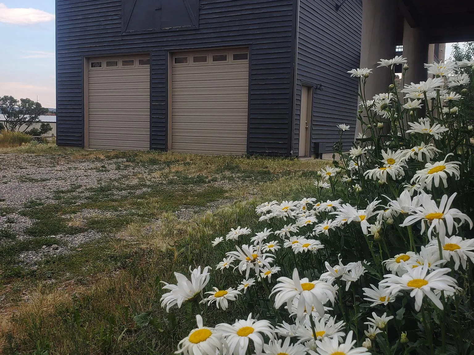 2 bed, 900 sqft, $2,900 — Photo 2