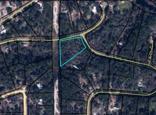 125 Panda Ave, Middleburg, FL 32068