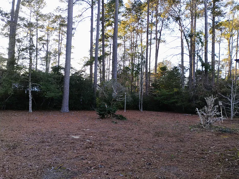 16 Bayberry Cir — Photo 20