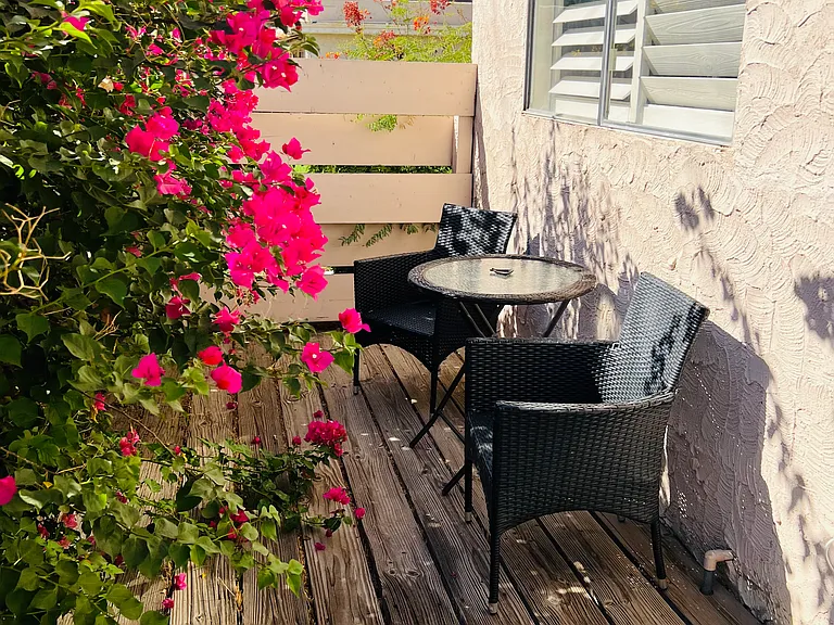 775 E Vista Chino #2 — Photo 9