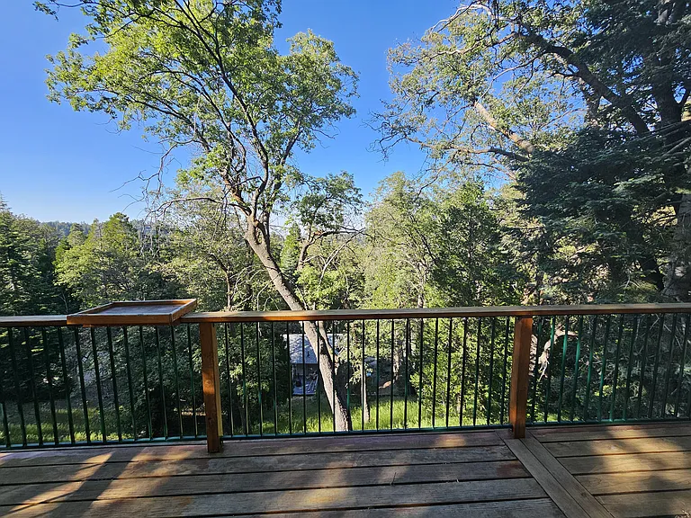 682 Cedar Ln — Photo 32