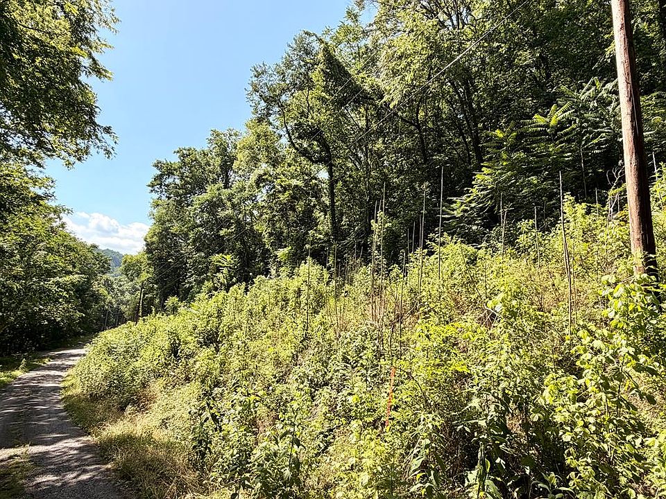 2nd image of 0 Silver Point Rd