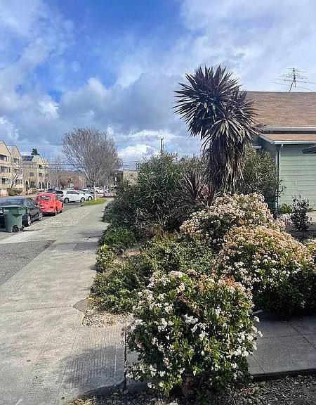 455 W Juana Ave — Photo 3