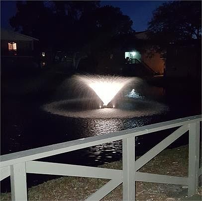 Autumn Chase Apartment Rentals Largo Fl Zillow