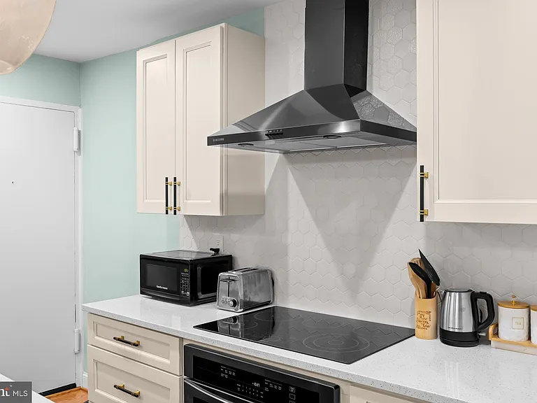 9820 Georgia Ave #21302 — Photo 10