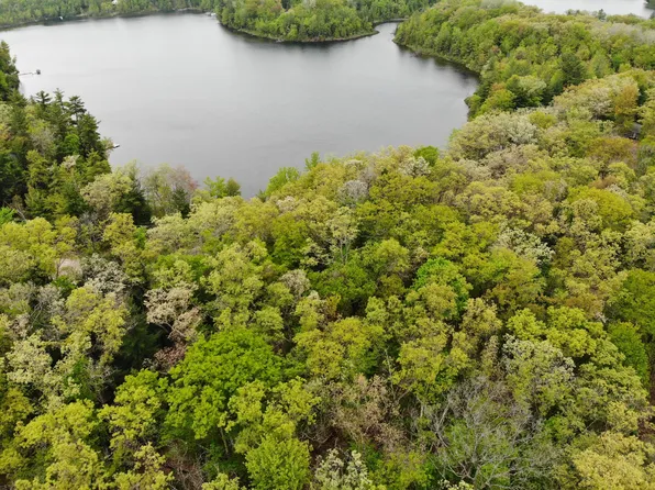 Vl 11 Mile Ave, Bitely, MI 49309