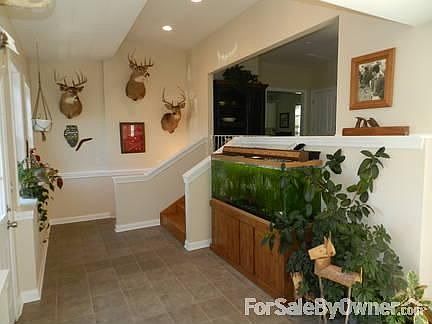 Lower Level entry way