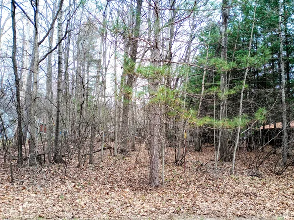 LOT 424 Pepperell Ave, Houghton Lake, MI 48629