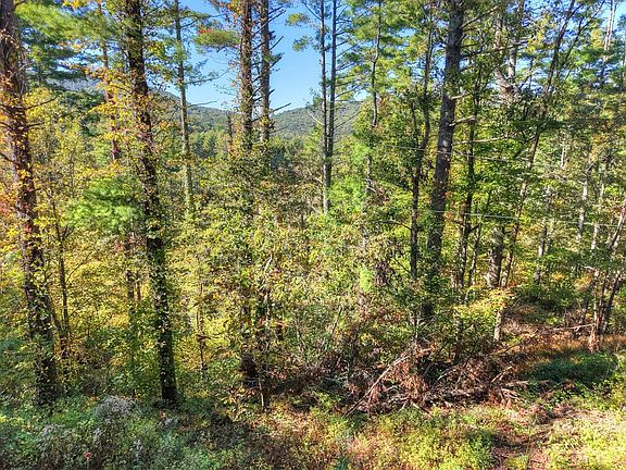 5th image of LOT 123 Bell Camp Rdg