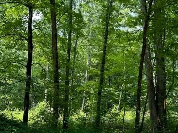 100 River Rd, Decatur, TN 37322