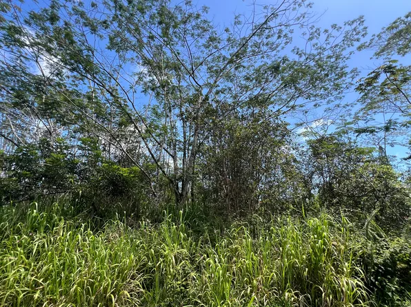 Kailua Rd Lot 406, Pahoa, HI 96778