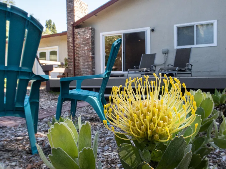 310 Alma Ln — Photo 36