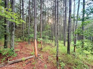 LOT 10 Eleven & 13 Airport Rd, Rockwood, TN 37854