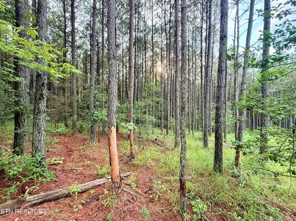 LOT 10 Eleven & 13 Airport Rd, Rockwood, TN 37854