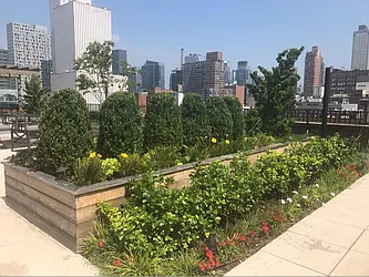 Rented by OB International Real Estate