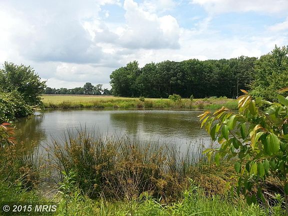 1 of 2 ponds