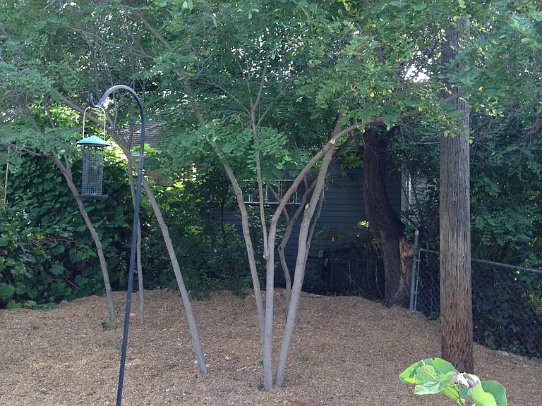 945 Grape Ave — Photo 10