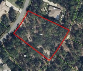 3965 N Longvalley Rd, Hernando, FL 34442