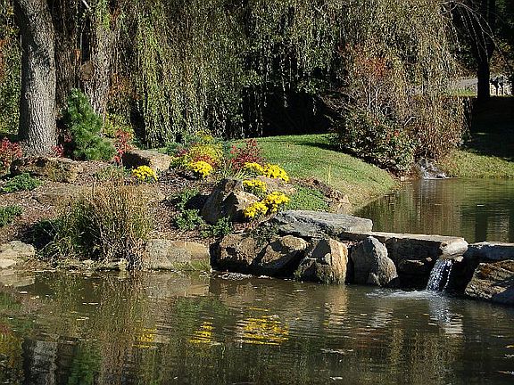 Entrance Pond