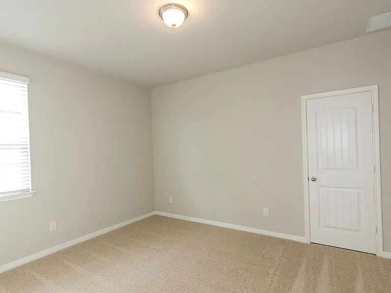 392 Fall Aster Dr — Photo 21