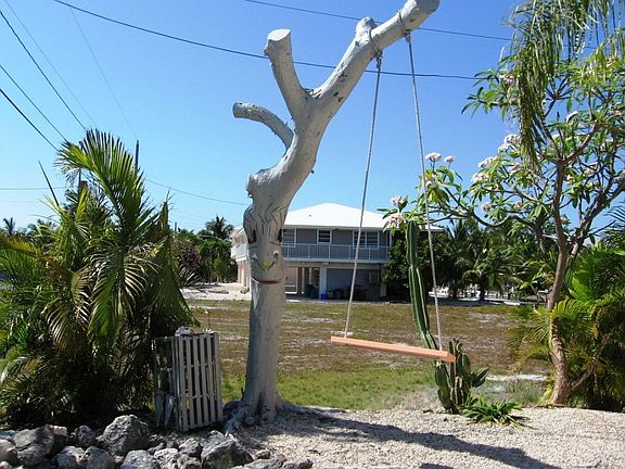 Tree Swing