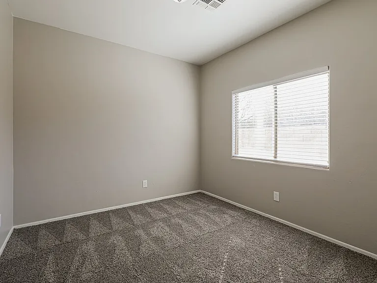 5238 S Camino Laguna Seca — Photo 13