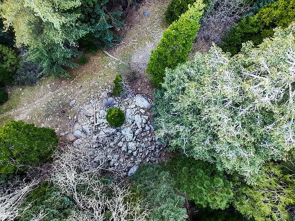 3rd image of 246 Cedar Ridge Dr