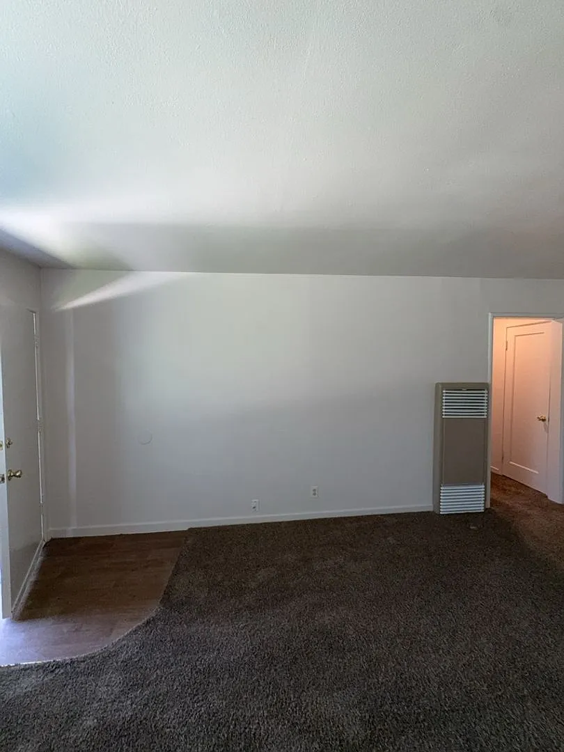 518 Carpenter St — Photo 4